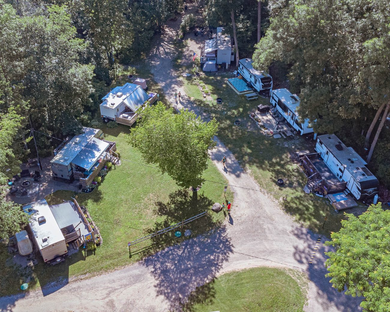 rvs in the trees