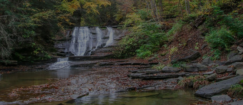 Spring waterfalls and forest scenery at Sugar Creek Glen Campground in the Finger Lakes region of New York