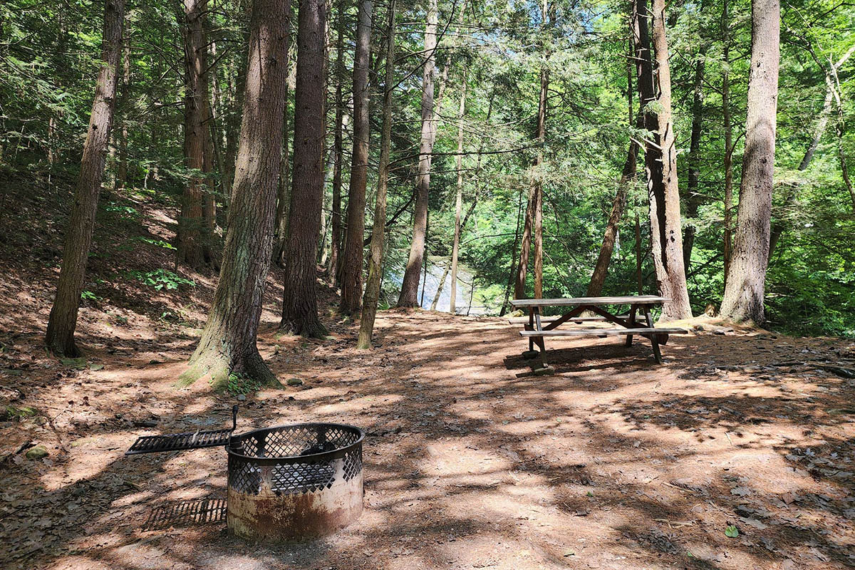 Wooded campsite at Sugar Creek Glen Campground near Dansville, NY, with a picnic table, fire ring, and surrounding trees.